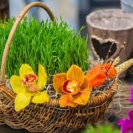Novruz bayramı